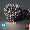 Різдвяна LED гірлянда 100xLED/8 функцій 15м IP65 Wi-Fi Tuya