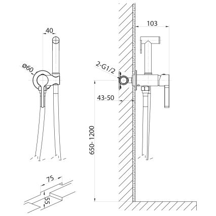 Sapho - Змішувач для біде з душем для прихованого монтажу ICONIC кругла/глянцевий хром