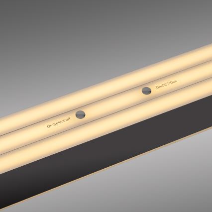 Schöner Wohnen 12577-18 - Светодиодная диммируемая подвесная люстра на тросе ADRIANA ROUND 2xLED/24W/230V 2700/3000/3500/4000/5000K 160 см черная