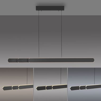 Schöner Wohnen 12577-18 - LED-підвісна люстра з регулюванням яскравості на тросі ADRIANA ROUND 2xLED/24W/230V 2700/3000/3500/4000/5000K 160 cm чорна