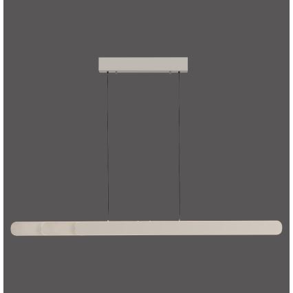 Schöner Wohnen 12577-39 - LED Диммируемая подвесная люстра на тросе ADRIANA ROUND 2xLED/24W/230V 2700/3000/3500/4000/5000K 160 см, серая