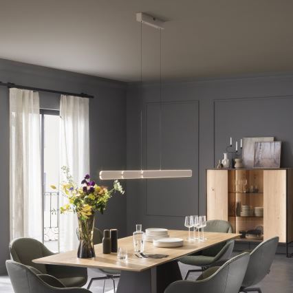 Schöner Wohnen 12577-39 - підвісна люстра на тросі з регулюванням яскравості ADRIANA ROUND 2xLED/24W/230V 2700/3000/3500/4000/5000K сіра