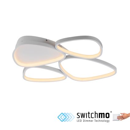 Schöner Wohnen 14038-16 - LED диммируемый потолочный светильник PEBBLES LED/35,5W/230V белый