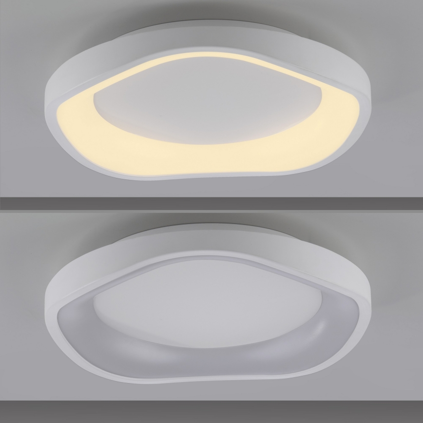 Schöner Wohnen 14233-16 - LED-стельовий світильник MONTA LED/21W/230V з регулюванням яскравості, діаметр 40 см, білий