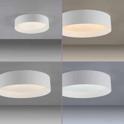 Schöner Wohnen 14593-16 - диммируемый светодиодный потолочный светильник TAVOLI LED/10 Вт/230 В 2700-6500 К диаметр 28,5 см белый + дистанционное управление