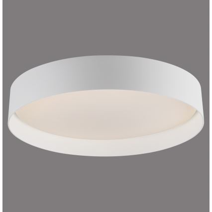 Schöner Wohnen 14594-16 - диммируемый потолочный светильник TAVOLI LED/20W/230V 2700–6500K Ø 39 см, белый + дистанционное управление