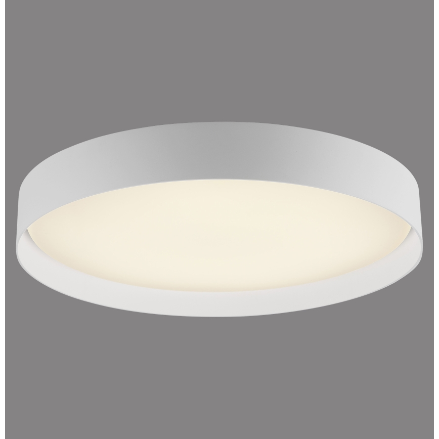 Schöner Wohnen 14595-16 - Диммируемый потолочный светильник TAVOLI LED/34W/230V 2700-6500K диам. 49 см белый + дистанционное управление