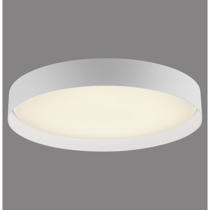 Schöner Wohnen 14595-16 - димований LED стельовий світильник TAVOLI LED/34W/230V 2700-6500K діаметр 49 см білий + дистанційне керування
