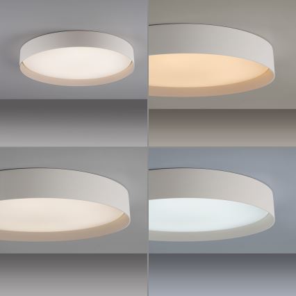 Schöner Wohnen 14595-39 - LED стельовий світильник TAVOLI з регулюванням яскравості, 34 Вт/230 В, 2700-6500 К, діаметр 49 см, сірий + пульт дистанційного керування