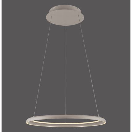 Schöner Wohnen 15570-39 - LED-диммируемая люстра на тросовом подвесе QUILLO LED/36W/230V, Ø 60 см, серый