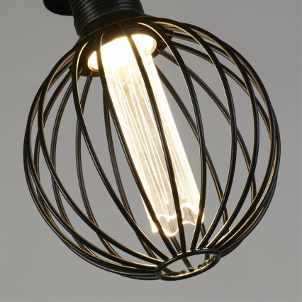 Searchlight - Светодиодная диммируемая декоративная лампочка GLOBE E27/4,5W/230V 2700K