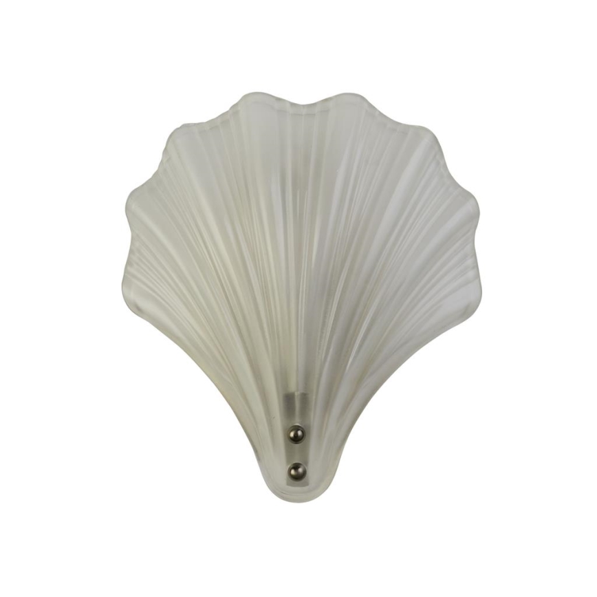 Searchlight - Настінний світильник SHELL 1xG9/7W/230V білий
