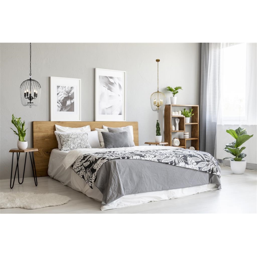 Searchlight - Люстра на ланцюгу SHOWER 5xE14/60W/230V чорний