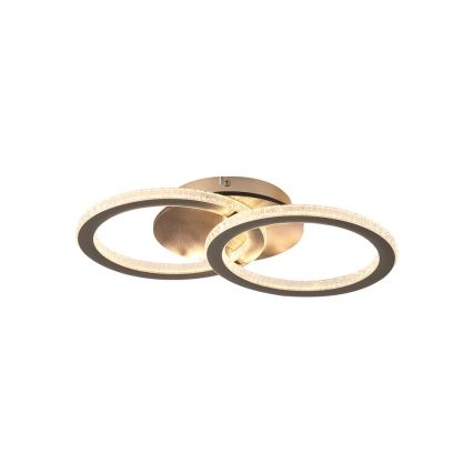 Searchlight - стельовий LED світильник з регульованою яскравістю SPECS LED/24W/230V 3000K 25x42,5 cm