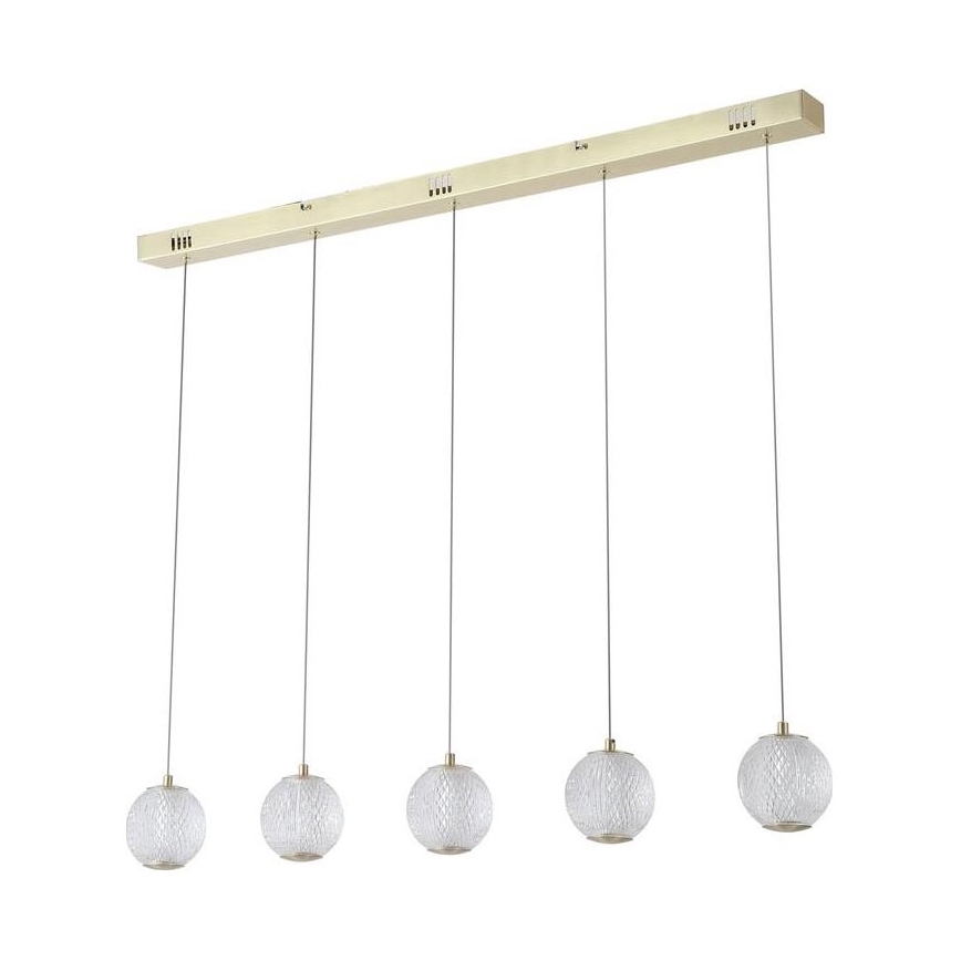 Searchlight - світлодіодна люстра на тросі ALLURE 5xLED/4,2W/230V