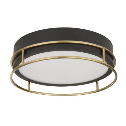 Searchlight - Потолочный светильник для ванной комнаты PHEONIX 2xE14/60W/230V диаметр 30 cm IP44