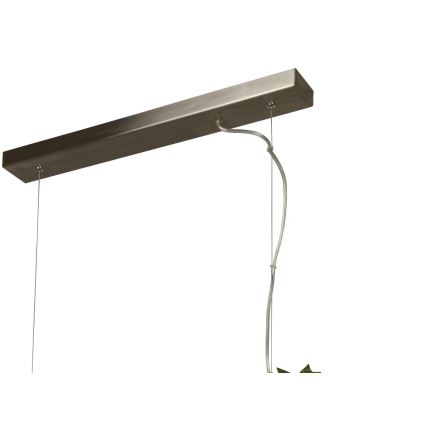 Searchlight - Світлодіодна підвісна люстра ASH LED/20W/230V ясеневий