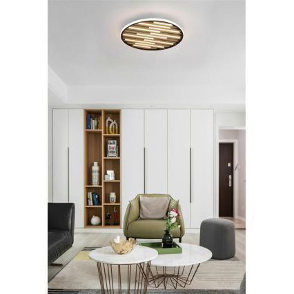 Searchlight - затемнюваний LED-стельовий світильник EQUALISE LED/33W/230V