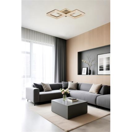 Searchlight - LED стельовий світильник з регульованою яскравістю FENCE LED/25W/230V