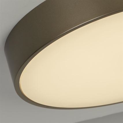 Searchlight - потолочный светильник LED PALMA LED/12W/230V 3000K, диаметр 25 см, бронзовый