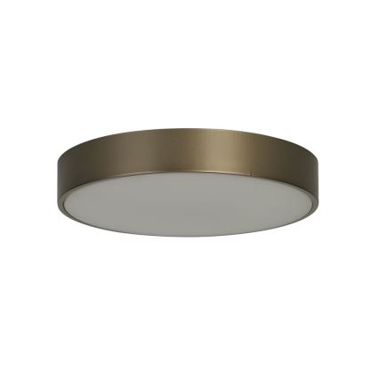 Searchlight - LED стельовий світильник PALMA LED/12 Вт/230 В 3000K діаметр 25 см бронзовий