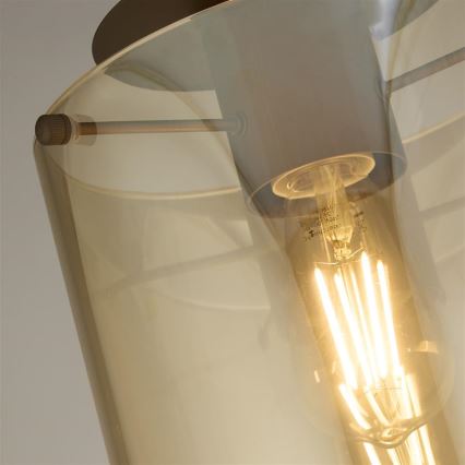 Searchlight - Стельовий світильник SWEDEN 1xE27/60W/230V діаметр 22 см коричневий/димчастий