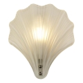 Searchlight - Настінний світильник SHELL 1xG9/7W/230V білий