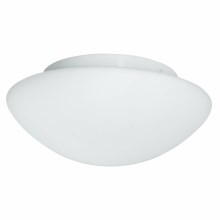 Searchlight - Потолочный светильник для ванной комнаты FLUSH 1xE27/60W/230V IP44
