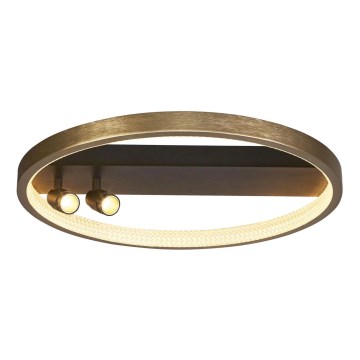 Searchlight - Светодиодный регулируемый потолочный светильник GRACE LED/37,8W/230V