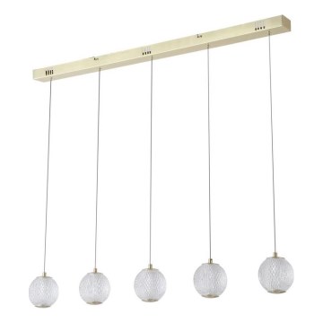 Searchlight - світлодіодна люстра на тросі ALLURE 5xLED/4,2W/230V