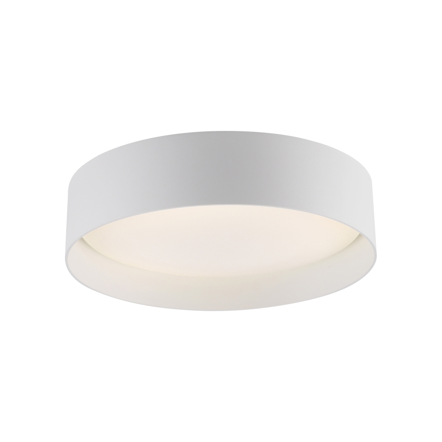 Schöner Wohnen 14593-16 - LED стельовий світильник з регульованою яскравістю TAVOLI LED/10W/230V 2700-6500K діаметр 28,5 см білий + дистанційне керування
