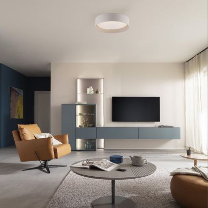 Schöner Wohnen 14593-39 - стельовий світильник TAVOLI з регулюванням яскравості LED/10W/230V 2700-6500K, діам. 28,5 см, сірий + пульт дистанційного керування