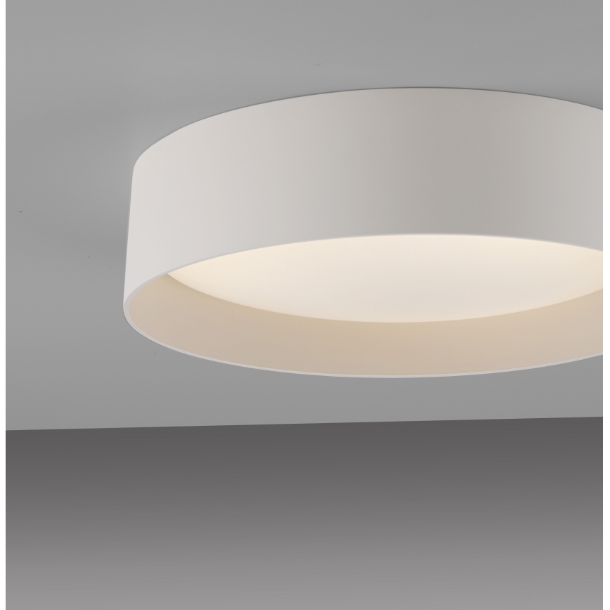 Schöner Wohnen 14593-39 - стельовий світильник TAVOLI з регулюванням яскравості LED/10W/230V 2700-6500K, діам. 28,5 см, сірий + пульт дистанційного керування