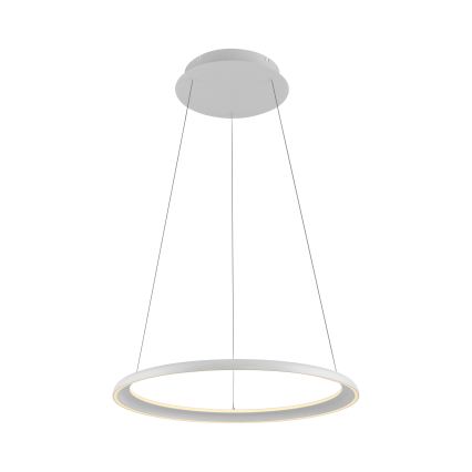 Schöner Wohnen 15570-16 - регульована світлодіодна люстра на тросі QUILLO LED/36W/230V, діаметром 60 см, біла