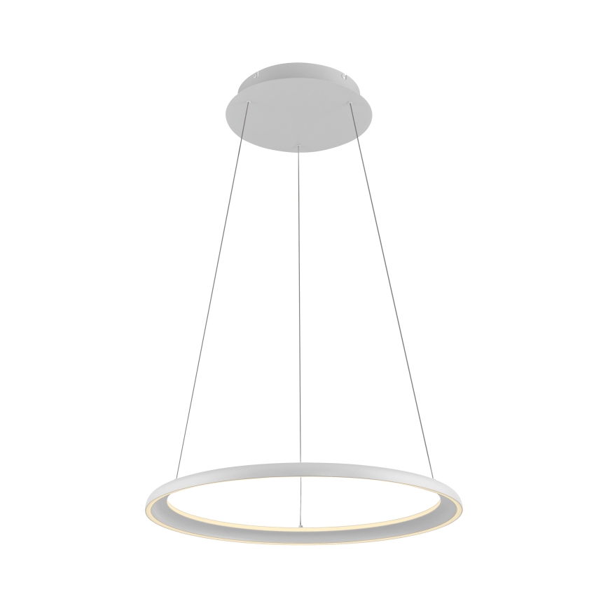 Schöner Wohnen 15570-16 - регульована світлодіодна люстра на тросі QUILLO LED/36W/230V, діаметром 60 см, біла
