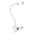 Сенсорна регульована настільна лампа з кліпсою BELLA LED/4,8W/5V 3000-6500K біла