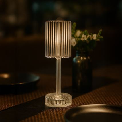 Сенсорная перезаряжаемая светодиодная настольная лампа SIMPLE LED/1W/5V 2400 mAh 3000-6000K прозрачная