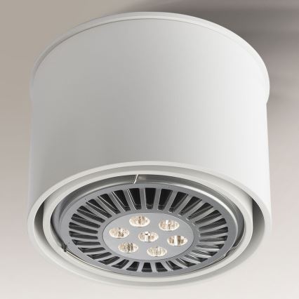 Shilo - Точковий світильник 1xGU10/15W/230V білий