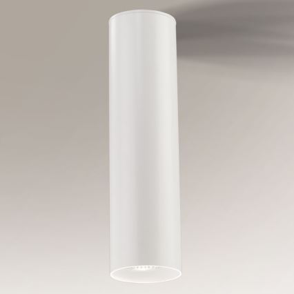 Shilo - Потолочный светильник 1xGU10/15W/230V белый
