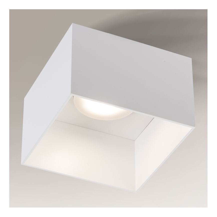 Shilo - Потолочный светильник 1xGX53/15W/230V белый