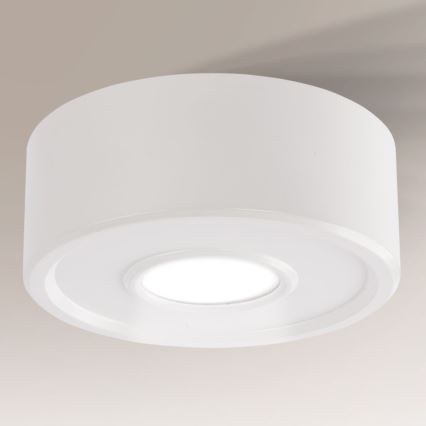 Shilo - Стельовий LED світильник IL LED/10W/230V 3000K CRI 90 білий