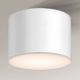 Shilo - Потолочный светильник для ванной комнаты 1xGX53/15W/230V IP44 белый