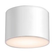 Shilo - Потолочный светильник для ванной комнаты 1xGX53/15W/230V IP44 белый