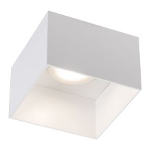 Shilo - Стельовий світильник 1xGX53/15W/230V білий