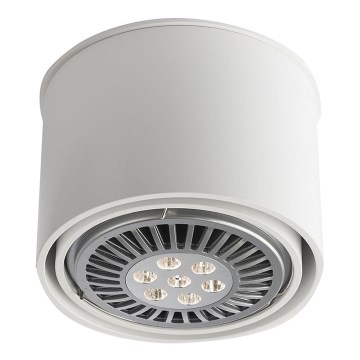 Shilo - Точковий світильник 1xGU10/15W/230V білий