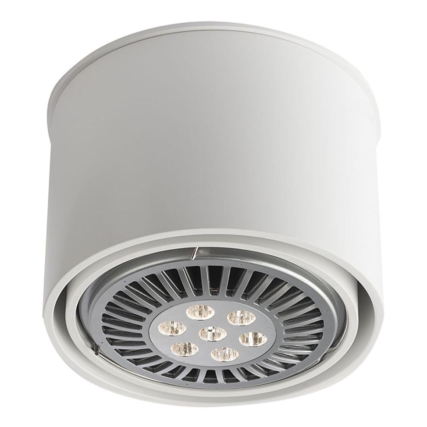Shilo - Точковий світильник 1xGU10/15W/230V білий