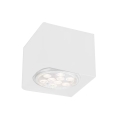 Shilo - Точковий світильник 1xGU10/15W/230V білий