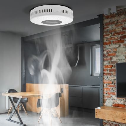 Детектор диму та чадного газу з LCD-дисплеєм 2xAA