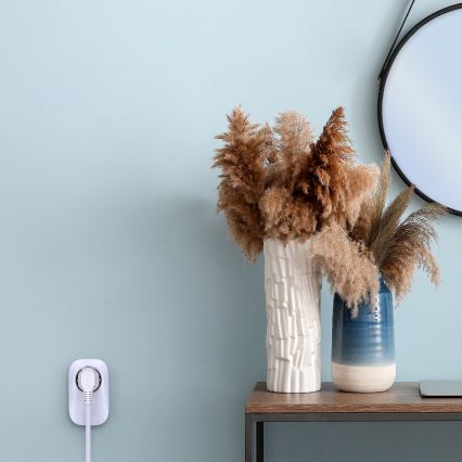 Беспроводной звонок в розетку 230В/1xLR23A IP55