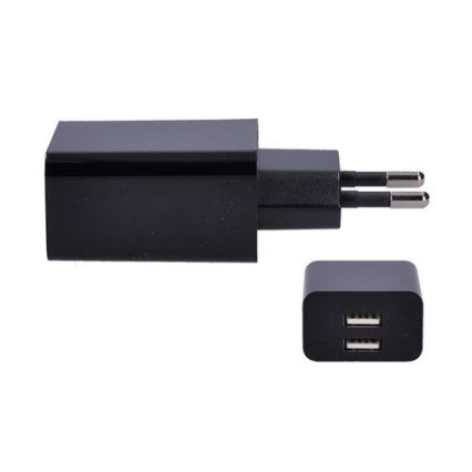 Зарядный адаптер 2xUSB/3100mA/230V черный